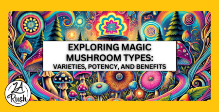 Magic mushroom types, Magic mushroom varieties, Types of shrooms, Psilocybin mushrooms, Magic mushroom species, Magic mushrooms effects, Potency of magic mushrooms, Magic mushrooms benefits